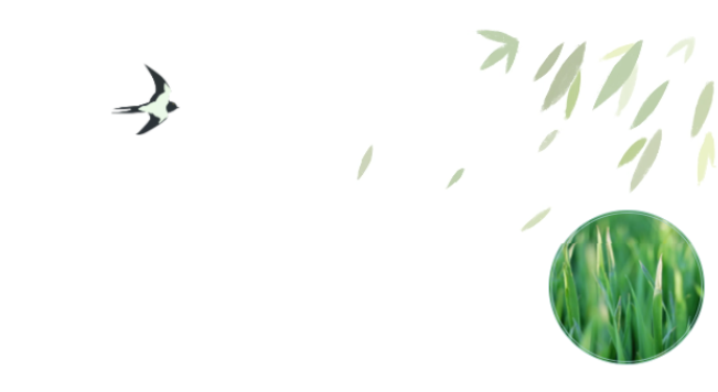 员工随笔丨抗“疫”过年，，，各人都还好吗？？？