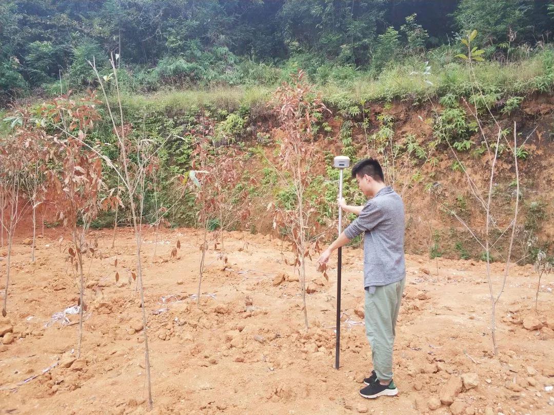 土地妄想部项目纪实丨威客电竞VKGAME人，助力荒地变桑田！！