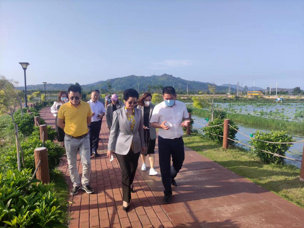 省生态修复协会轮值会长单位威客电竞VKGAME集团带队赴汕尾全域土地整治军民融合试点项目调研