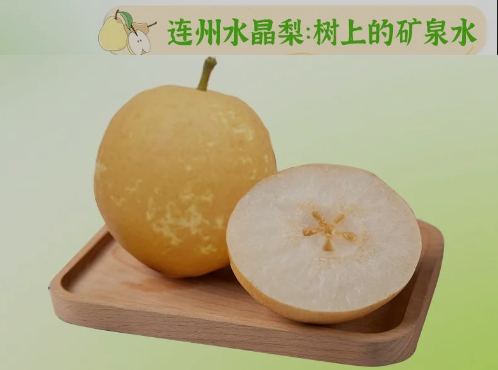 “桃李”酷暑，清凉一夏