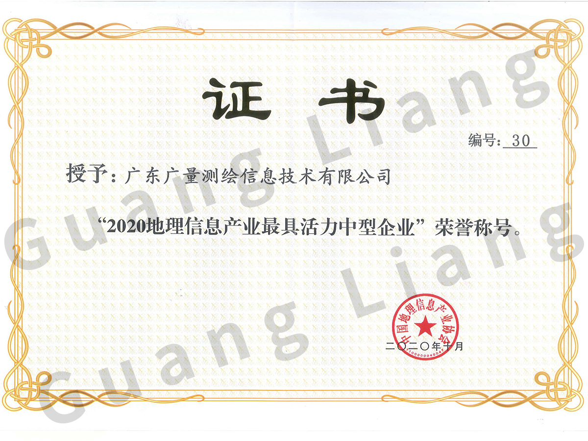 2020年地理信息工业最具活力中型企业