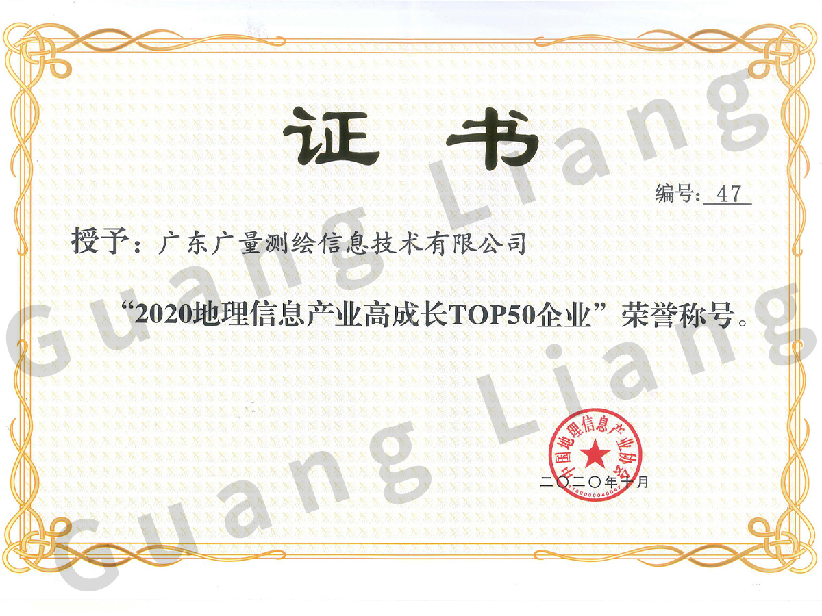 2020年地理信息工业高生长TOP50企业