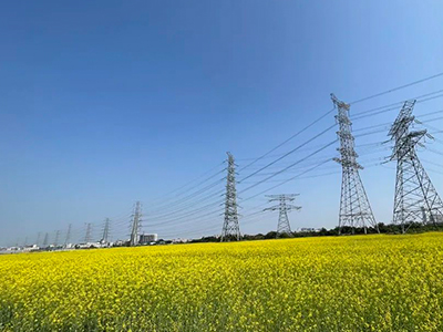 威客电竞VKGAME妄想丨央视点赞东莞厚街复耕良田盛开迎春花！