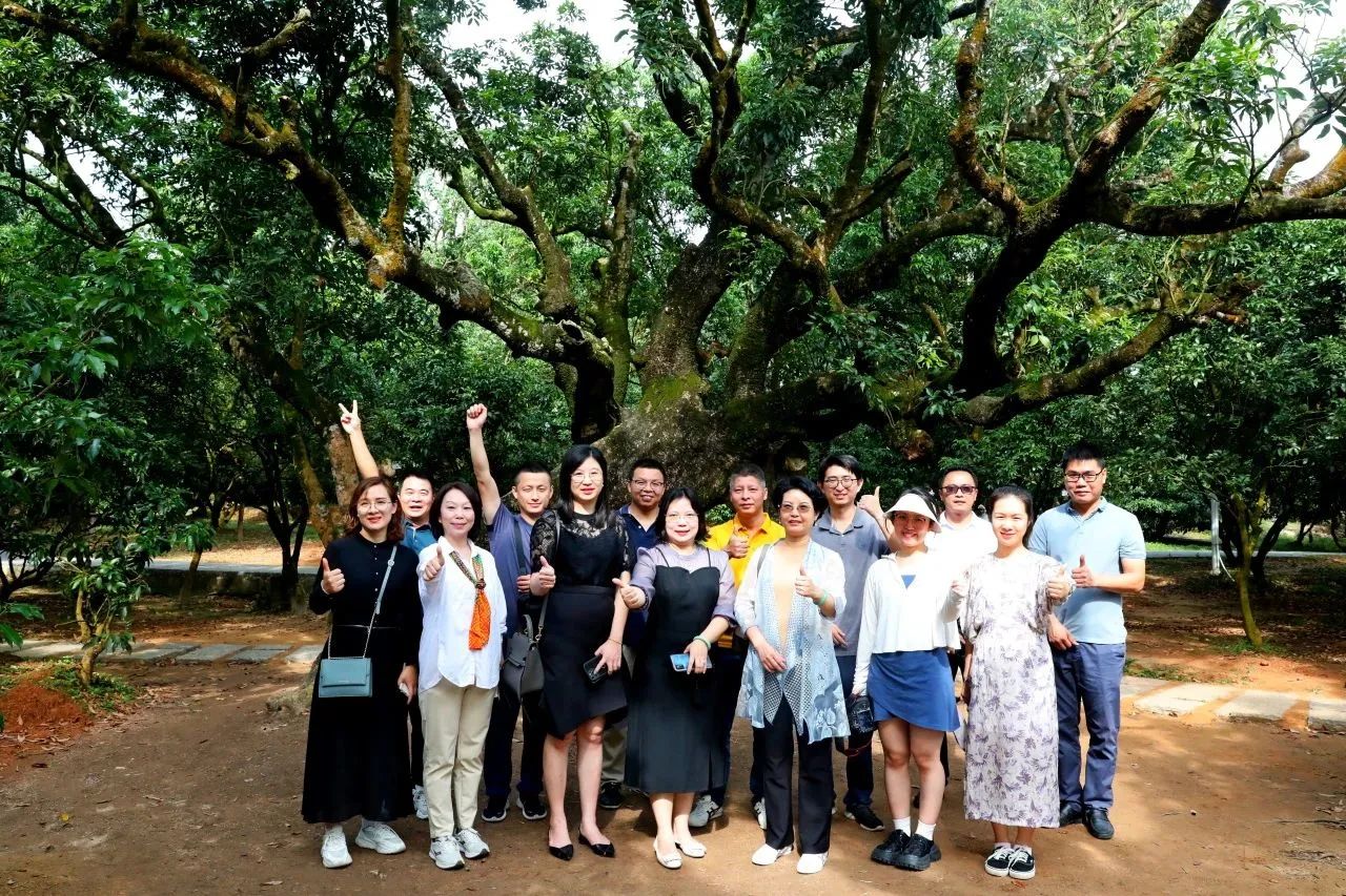 威客电竞VKGAME集团作为省领土空间生态修复协会轮值会长带队调研粤西全域土地综合整治事情