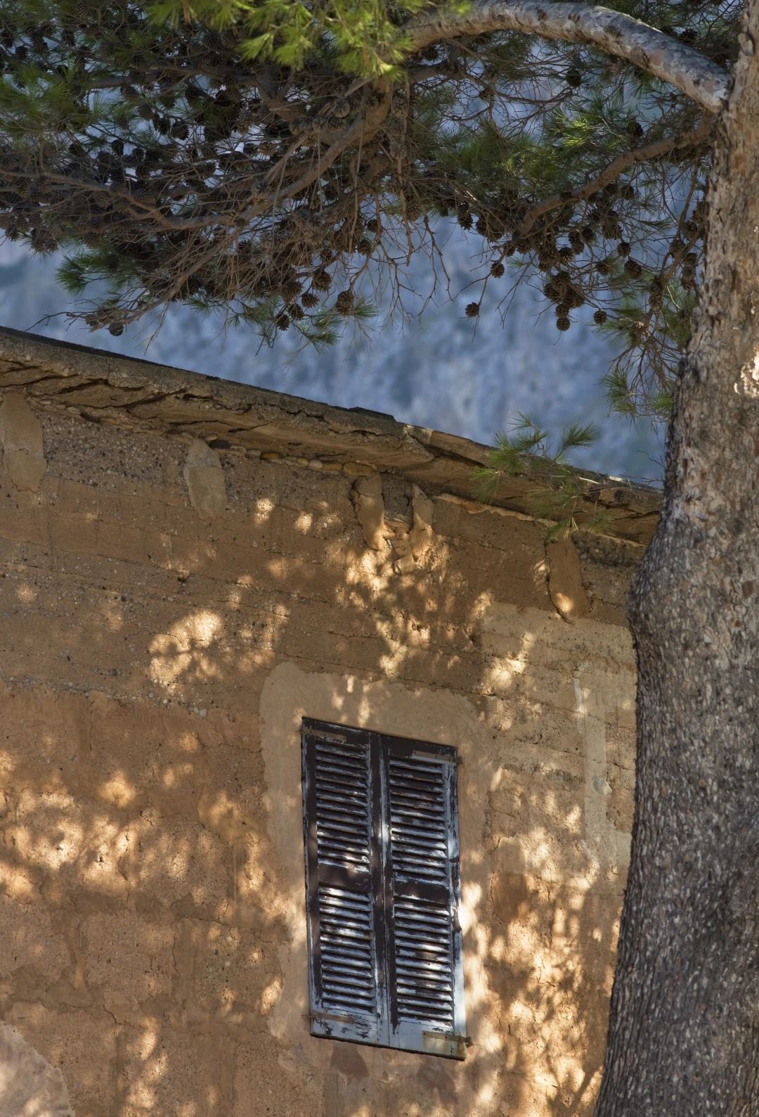 节日丨315特辑：：：给老屋子的情书！！！