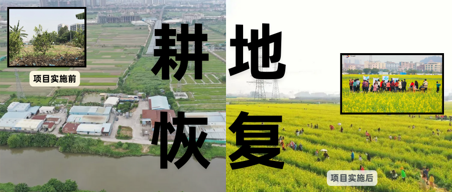 耕地；；び刖蒙す踩凇甘泻窠终蛩谏缜读继锵钅扛鼗指从氤窍缛诤系牧⒁焓导