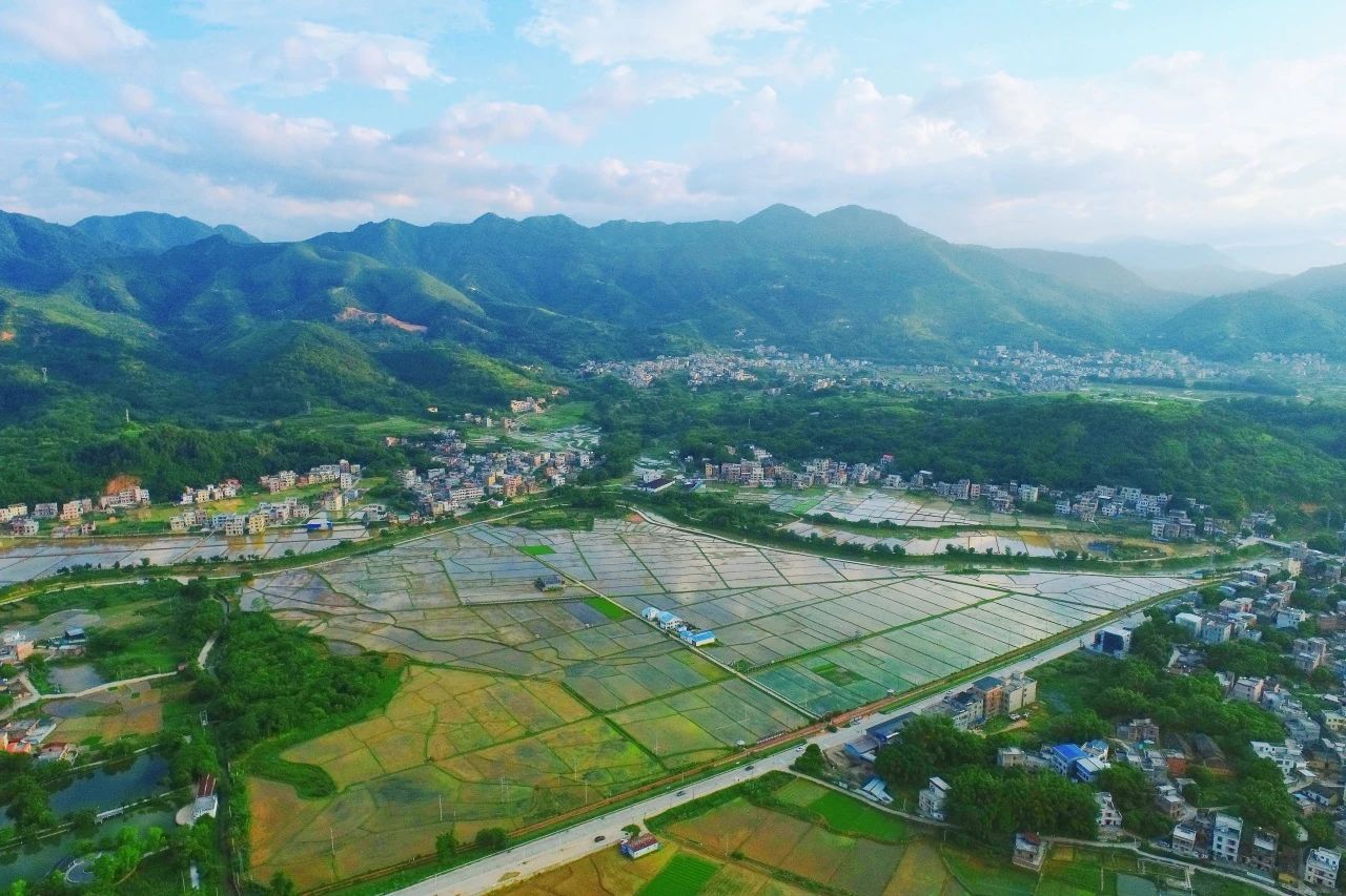 威客电竞VKGAME集团丨“百万万工程”显实效：云浮罗定泗纶镇以全域土地综合整治为抓手，，，绘就墟落振兴新画卷