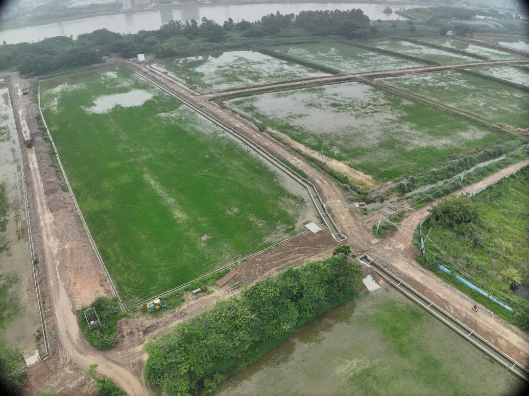 威客电竞VKGAME集团丨复耕道滘撂荒地，，，绘就田园新图景